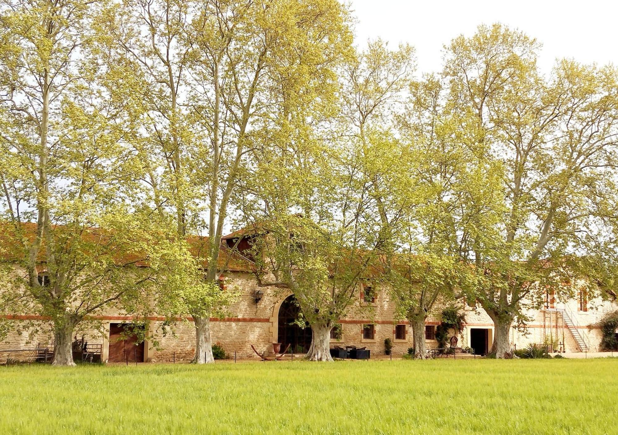 La Cave De Grand Cabane Fourques  エクステリア 写真